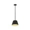 Z-Lite Maddox 1 Light Chandelier, Matte Black 6013-12MB - alternate 2